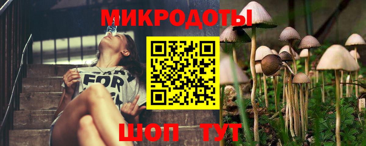 Псилоцибиновые грибы мицелий  Вход с VPN  Зерноград 